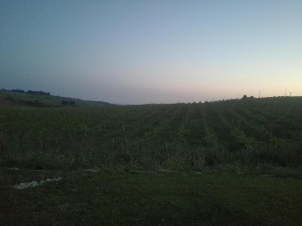 Casa Chardonnay Villa Menfi Exterior photo